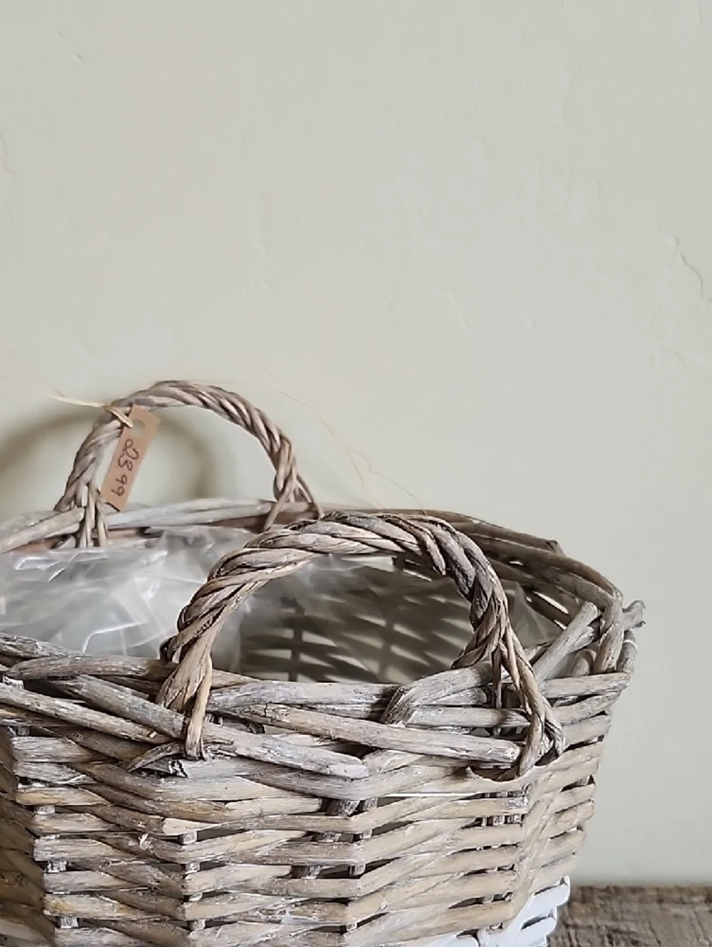 Woven Two-Tone Decorative Basket Planter - Natural and White